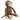 Amigurumi Pattern Monkey Sammy