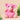 Amigurumi Kit Snuggle Pig
