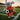 WK 2026 bundel (3 patronen)