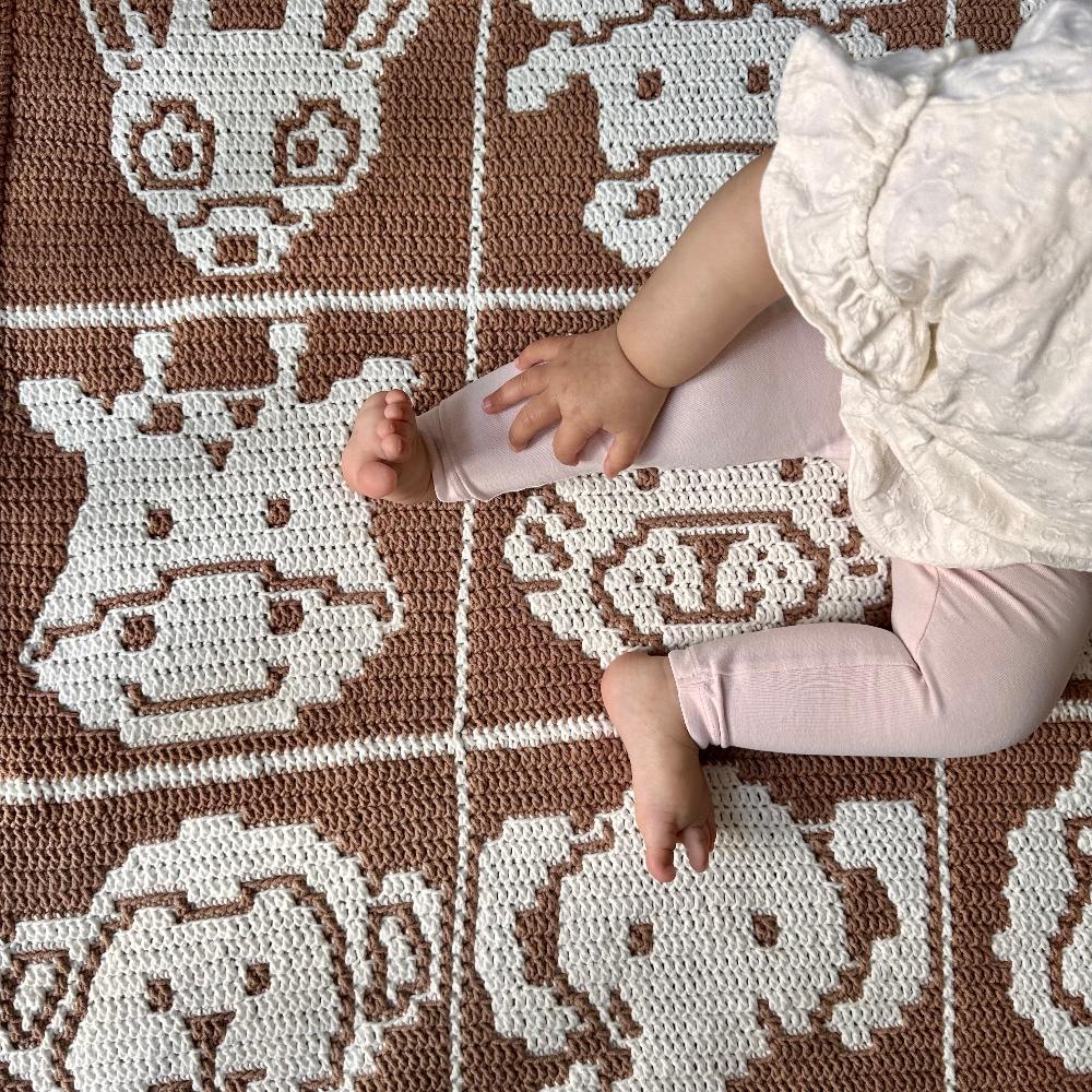 Overlay Mosaic Crochet Pattern - Safari Animals Baby Box Blanket with baby